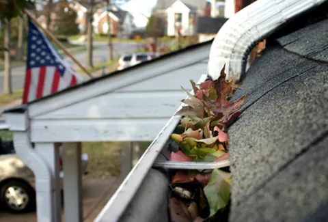 Gutter cleaning service